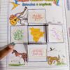 Kit Educacional Região Centro-Oeste do Brasil! 🌍 - Imagem 5