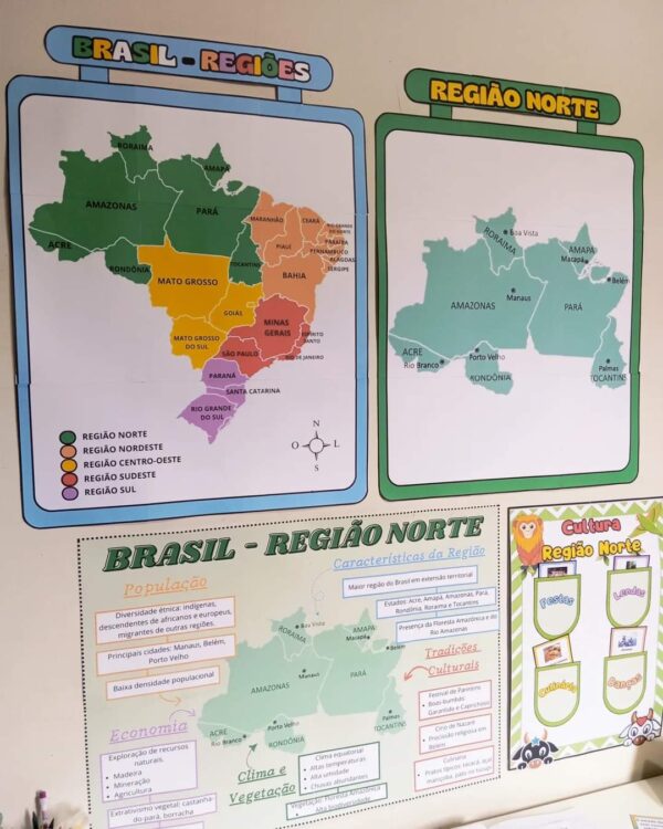Kit Educacional sobre a Região Norte do Brasil! 🌎 - Imagem 3