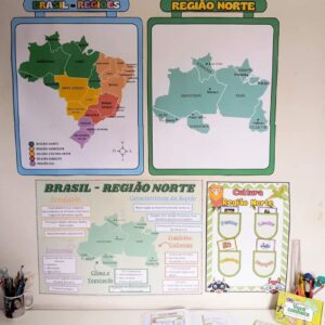 Kit Educacional sobre a Região Norte do Brasil! 🌎