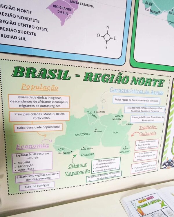 📚🎯 Combo das Regiões Brasileiras 🎯📚 - Imagem 13