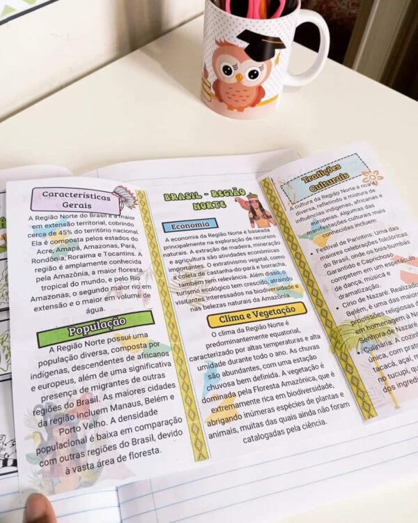 Kit Educacional sobre a Região Norte do Brasil! 🌎 - Imagem 6