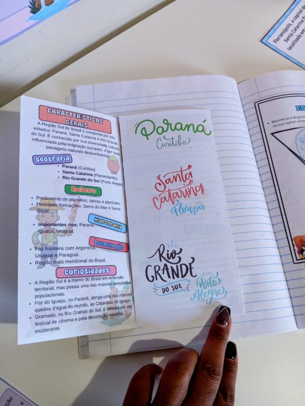 🌟Kit Educativo da Região Sul do Brasil! 🌟 - Imagem 10