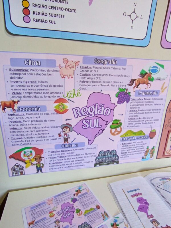 🌟Kit Educativo da Região Sul do Brasil! 🌟 - Imagem 2