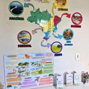 🌍 Kit Pedagógico "Os Biomas Brasileiro"! 🌱🦜