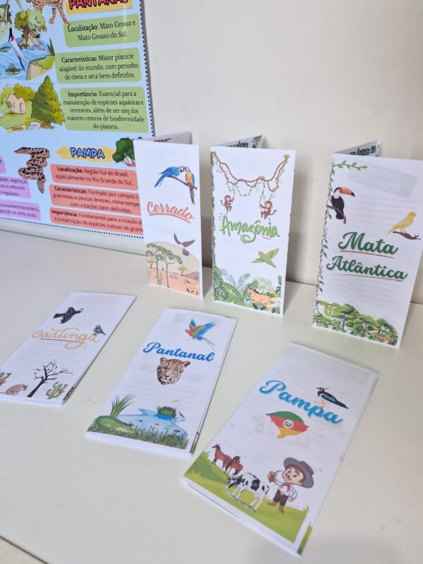 🌍 Kit Pedagógico "Os Biomas Brasileiro"! 🌱🦜 - Imagem 5