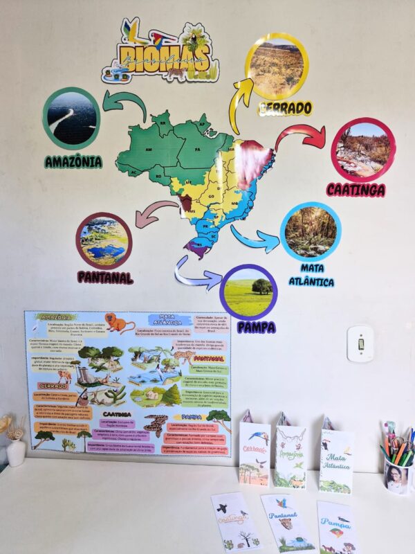 🌍 Kit Pedagógico "Os Biomas Brasileiro"! 🌱🦜 - Imagem 4