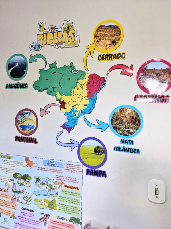 🌍 Kit Pedagógico "Os Biomas Brasileiro"! 🌱🦜 - Imagem 6
