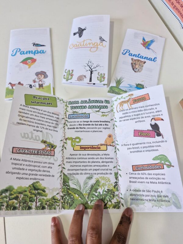 🌍 Kit Pedagógico "Os Biomas Brasileiro"! 🌱🦜 - Imagem 2