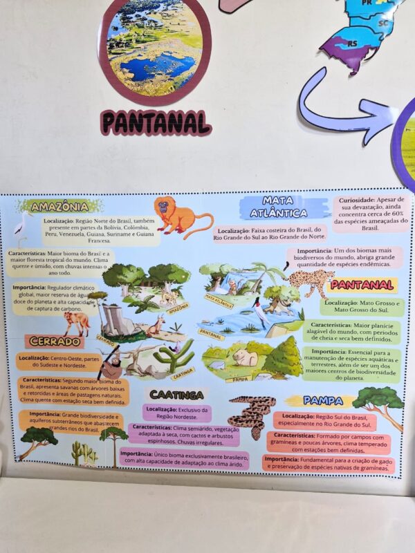 🌍 Kit Pedagógico "Os Biomas Brasileiro"! 🌱🦜 - Imagem 3